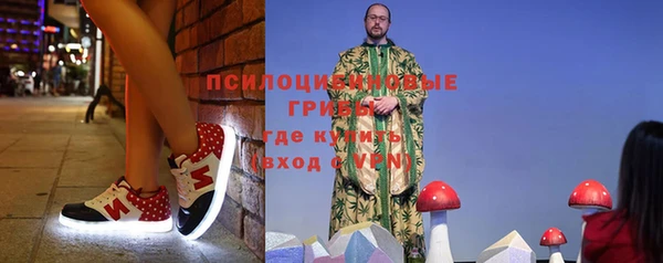 стаф Алзамай