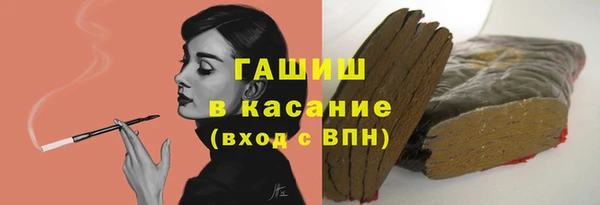 стаф Алзамай