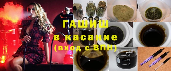 стаф Алзамай